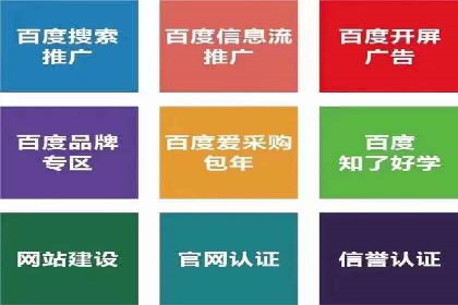 SEM代运营机构成功案例：优化策略与效果分析